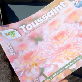 Alors oui, on sait que vous avez la tête dans les vacances d'été, que la pression de la fête des mères est déjà loin… ☀️

Mais on sait aussi que l’anticipation c’est la clé !

Le catalogue Toussaint 2025 est dès à présent disponible 📒
À retrouver dans vos cash et sur horticash.com‌

Cet été, j’anticipe,
Cet automne, je profite ! 😎