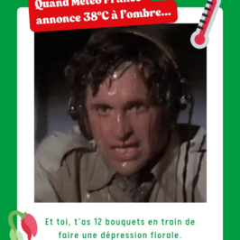 Quand Météo France annonce 38 °C à l'ombre... 🥵
Et toi, t'as 12 bouquets en train de faire une dépression florale.

Ce GIF vous fait penser à quelqu'un ? Taguez cette personne en commentaire 🤭

À très vite !
Vic' 😜

#humour #fleuriste #canicule