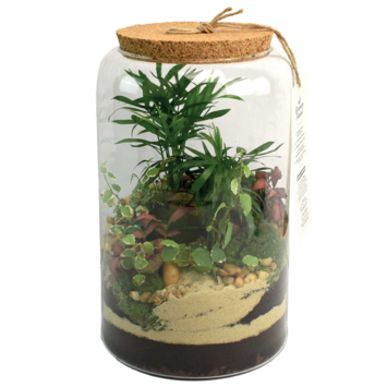image TERRARIUM GOPHERUS 20