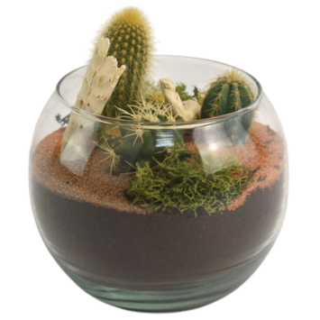 image VERRERIE GOBI 20