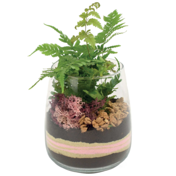 image VERRERIE GRENAT 20