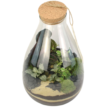 image TERRARIUM LUTH 20