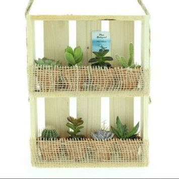 image SUCCULENTE X8 CADRE BOIS SUSP