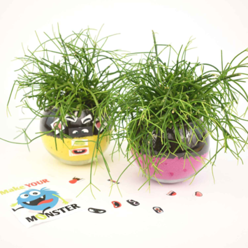 image VERRERIE MONSTER 20