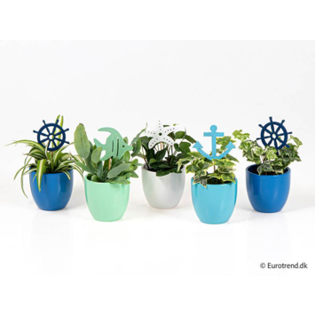 image PLANTE VERTE CERAM