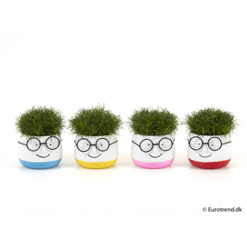 image SAGINA CERAM LUNETTE