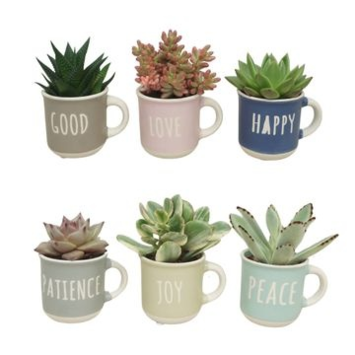 image SUCCULENTE MUG CERAM