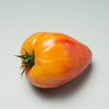 image TOMATE ANACOEUR
