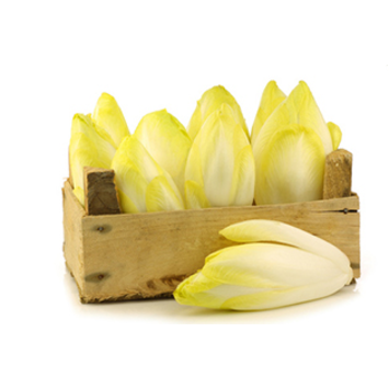 image ENDIVE BEA BQ24