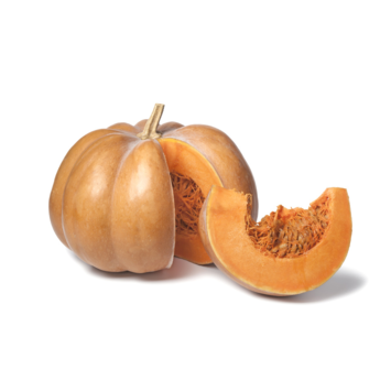 image COURGE MUSQUE DE PROVENCE