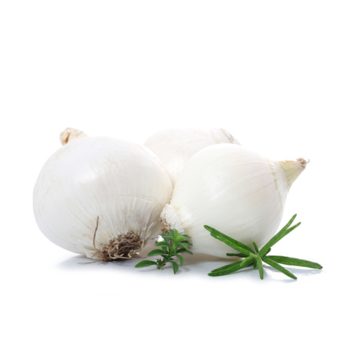 image OIGNON BLANC DE VAUGIRARD BQ30