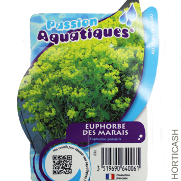 image EUPHORBIA PALUSTRIS