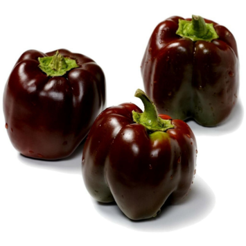 image POIVRON CHOCOLAT