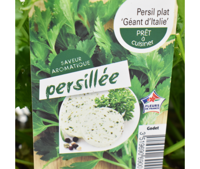 PERSIL
