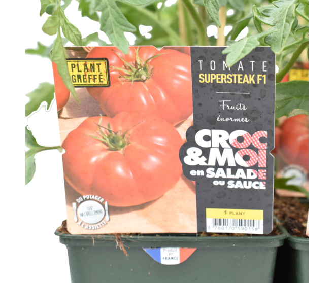 TOMATE SUPERSTEAK