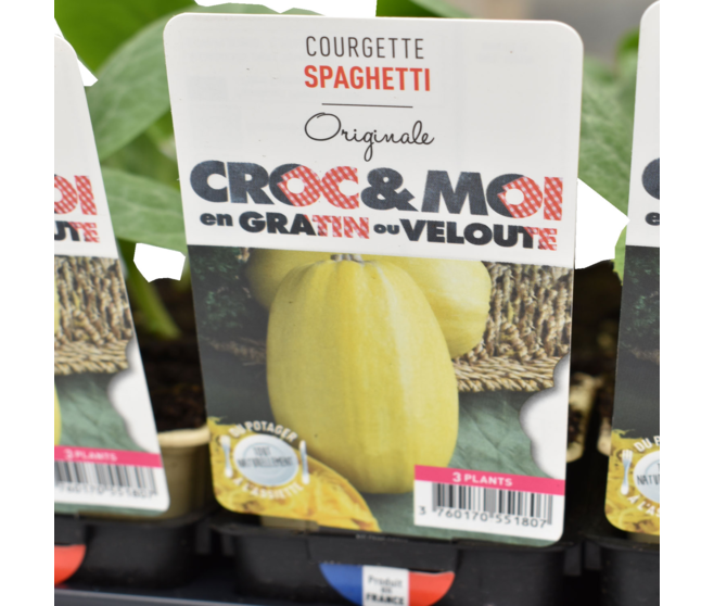 COURGETTE SPAGHETTI BQ3
