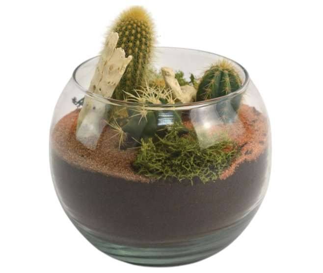 VERRERIE GOBI 20