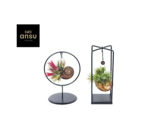 TILLANDSIA SUPPORT METAL