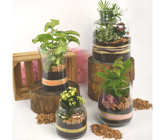 VERRERIE GRENAT 20