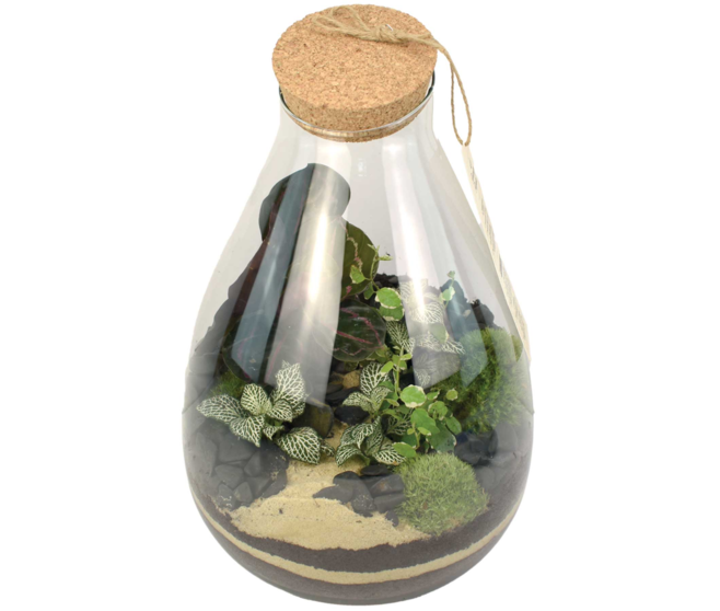 TERRARIUM LUTH 20