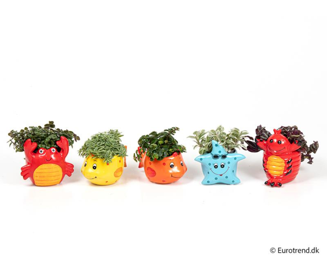 PLANTE VERTE CERAM ANIMAL MER