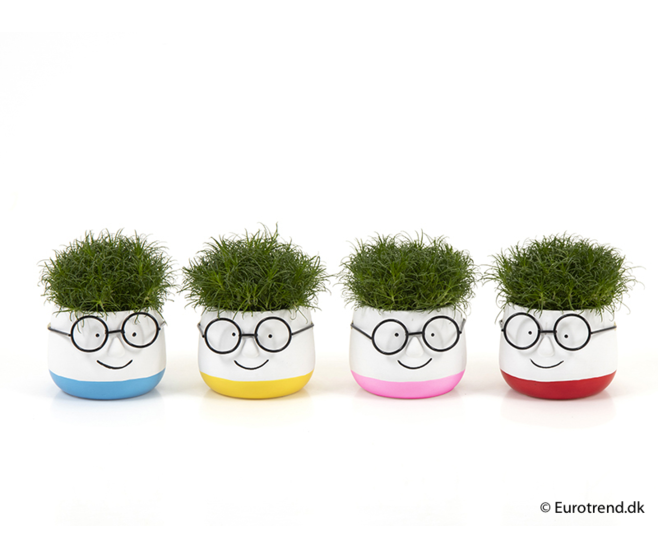 SAGINA CERAM LUNETTE