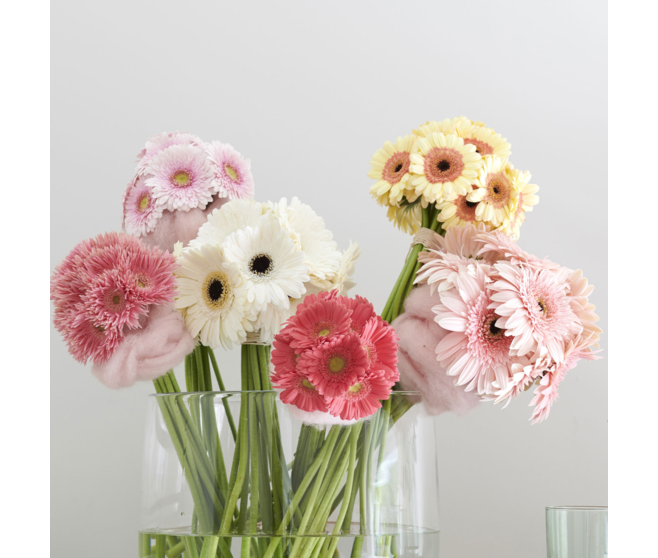 GERBERA CERAM