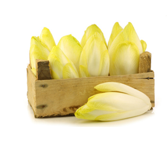 ENDIVE BEA BQ24