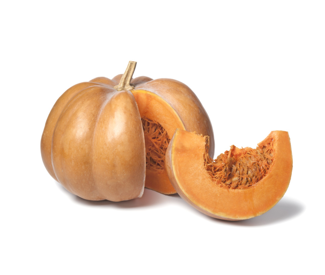COURGE MUSQUE DE PROVENCE