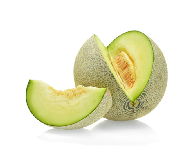 MELON VERT GALIA