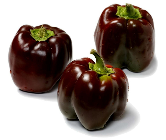 POIVRON CHOCOLAT