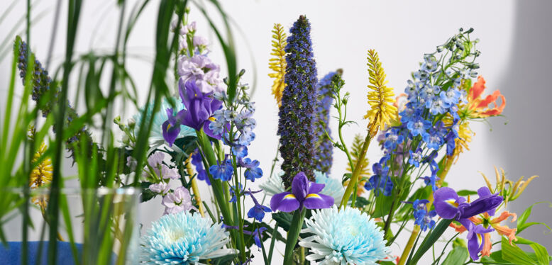 Plantes du Mois de Juin : Les Fleurs en Epis