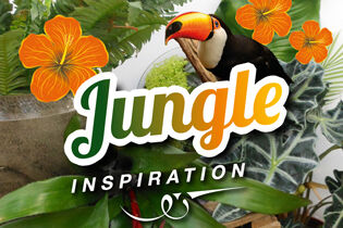 Inspiration JUNGLE