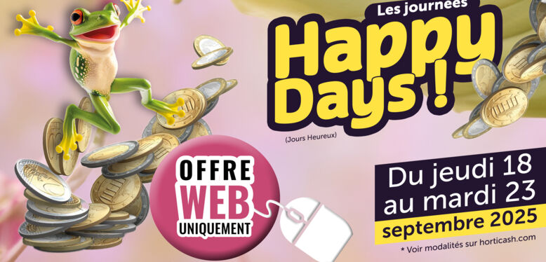 Les Happy Days !