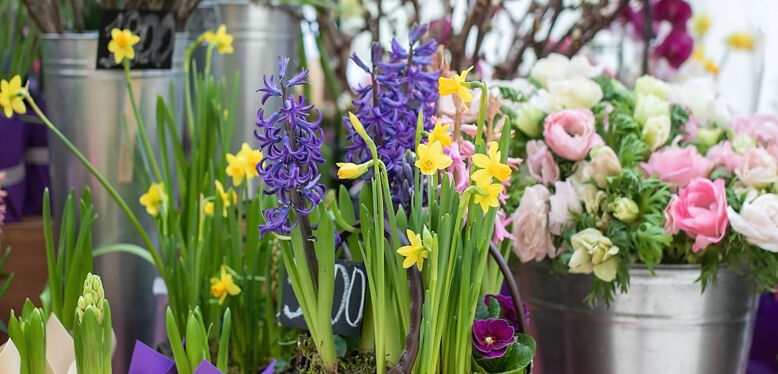 Créer sa vitrine pour le printemps