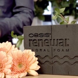 Exclusivité Renaud Horticash - Mousse Florale 🌿
Pour des compositions plus écoresponsables, découvrez en exclusivité du 15 au 31 octobre, notre nouvelle mousse florale Oasis d’origine végétale !
Les plus :
🟩 Origine végétale
🌍 56% d’empreinte carbone en moins
🍃Certifié OK BIOBASED 4
💚 Sans aucun colorant
À retrouver sur notre site web et dans nos magasins 🛒
#MousseFlorale #Oasis #RenaudDistribution #Grossiste #Fournisseur #CompositionFlorale #MousseDeuil #Fleuriste #ProDuVegetal