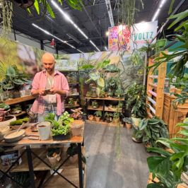 ✨ Plongée au cœur du @salonduvegetal ! 

Retour en images sur notre stand au décor très végétal et aux couleurs vives, pensé pour offrir une ambiance à la fois calme, chaleureuse et inspirante.
-
D’un côté un large choix de plantes d’extérieur 🌱, de l’autre, une multitude de terrariums de notre atelier création !
Un espace également rythmé et animé par les démonstrations de terrariums en direct de @guillaume_verdegay , qui a partagé son savoir-faire tout au long du salon ! 🌿🧪 
-
Un grand merci à toutes celles et ceux qui sont venus nous rendre visite et échanger avec nos équipes 🙌 #SalonDuVegetal #Horticash #RenaudDistribution #Terrarium #Angers