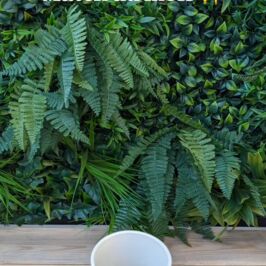 Match du mois ❄️

En décembre, c’est le retour de LA superstar incontournable… l’Orchidée !
Elle débarque avec toute sa team de variétés prêtes à briller !

Et parce qu’une star mérite toujours un accompagnement à la hauteur… découvrez notre trio de cache-pots Soledad, cuivre, champagne et beige référence 920867 !

Le duo parfait pour entrer totalement dans l’esprit de Noël 🎄
Pssst, entre nous, ce ne serait pas le cadeau parfait sous le sapin ? 😉

Alors, on adopte ce match parfait ?

🪴Plante à retrouver sur le site : horticash.com 
✨Cache-pots à retrouver exclusivement sur le site : renaud-distribution.com

Vic' et Marius 😜

#Fleuristes #ProDuVegetal #Grossiste #Fournisseur #Professionnel #Orchidee #Cachepot #Contenant #InspirationVegetale #Plante #RenaudHorticash #MatchDecembre #UniversVegetal