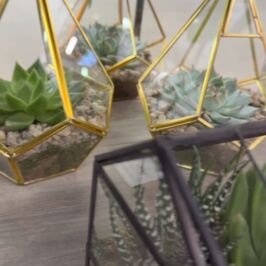 🍂🌿 Quand le végétal devient objet de décoration…

Pour l’automne 2026, notre atelier en Anjou a imaginé Les Serres de l’Atelier Création : 4 compositions végétales originales, pensées comme de petites scènes d’intérieur contemporaines. ✨

Des formes, des textures, du végétal… et surtout, beaucoup de savoir-faire pour créer des pièces à la fois tendances, raffinées et durables. 🪴

Une collection imaginée et réalisée localement, pour apporter une touche végétale singulière aux intérieurs.

👀 Les 4 modèles sont déjà disponibles en ligne et arrivent dès jeudi 27 août dans nos magasins d’Angers, Nantes et Rennes.

🌿 Une collection pensée et créée en Anjou, que vous pourrez retrouver chez les artisans fleuristes près de chez vous.

#Serres #Décoration #Automne #Inspiration #Végétal