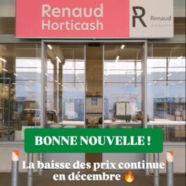 La baisse des prix continue 🔥

Depuis septembre, nous mettons tout en œuvre pour vous accompagner dans vos achats du quotidien en ajustant nos tarifs sur + de 350 produits.

Après les soucoupes au mois d'octobre, les coupes horticoles en novembre…
En décembre, c’est au tour du cache-pot zinc naturel de rejoindre la sélection de produits “prix en baisse” 🎉

Profitez-en sur notre site et dans nos magasins 🛍️

#RenaudHorticash #Fournisseur #Grossiste #Fourniture #cachepot