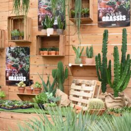 🌵 Une nouvelle atmosphère dans nos cash plantes...

Chez Horticash, l’été ne rime pas qu’avec chaleur 🌞
Il rime aussi avec formes graphiques, textures charnues, rosettes parfaites… Le tout, venu du désert !‌

🪴 Bienvenue dans notre univers "Collection de Plantes Grasses"
Une sélection pensée pour les amoureux du détail, pour les curieux du vivant, pour celles et ceux qui collectionnent les succulentes comme d’autres collectionnent les pierres précieuses.‌

Agave, Aloe arborescens, Crassula, Echeveria, Kalanchoe thyrsiflora, Sempervivum…
Des silhouettes sculptées par la lumière,
Des nuances poudrées et métalliques,
Des plantes qui racontent une histoire… à qui sait l’écouter.‌

📍Découvrez toutes ces scénographies végétales (en vrai !) dans nos cash d’Angers, Nantes et Rennes.‌

💻 Vous avez envie de prolonger l’expérience ?
La collection complète est aussi en ligne, sur horticash.com .
À commander dès maintenant, ou au fil de vos envies.‌

#PlantesGrasses #CollectionBotanique #CashPlantes #PlantesSucculentes #GrossistePlantes #DécorationVégétale #EspritCollectionneur #Agave #Aloe #Echeveria #Rennes #Angers #Nantes #VitrineÉté