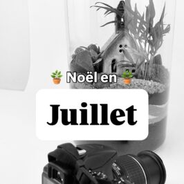 🎄 Breaking news : Noël a décidé d’arriver en juillet cette année. 

Chez nous, les paillettes, la neige et les chansons de Noël (rien de mieux pour se mettre dans l’ambiance) sortent en même temps que les tongs. 😎🌴

On vous glisse un aperçu du shooting catalogue Noël 2025 🎥
Un peu de magie et de pétillant dans les coulisses… Pour de jolies compositions qu’on a hâte de vous montrer ✨
 

Et vous, vous êtes plutôt team “paréo et crème solaire jusqu’en octobre” ou “jamais trop tôt pour Noël” ? 😄🎅
 
 

#HorticashPlantes #PlantesDeNoël #CoulissesVégétales #ShootingNoël