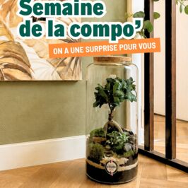 Une petite surprise qui fait toujours plaisir 👀✨

Du 3 au 9 septembre, profitez de -5% sur toutes les Collections CRÉATION ATELIER sur le web 🛒

Et parce qu’on pense aussi à ceux qui préfèrent venir nous voir en magasin, bénéficiez de -5% du 7 au 12 septembre 📍

Bref… c’est peut-être le moment de craquer. 😏

#AtelierCreation #Terrarium #Fournisseur #Composition #Fleuriste