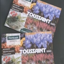 L'été bat son plein… mais chez les pros du végétal, on a toujours une saison d’avance ☀️

Déjà un oeil sur la prochaine saison ? On en est sûrs ! 👀
Vous ne vous laissez jamais surprendre par le calendrier, anticiper fait partie de votre quotidien 🌱

Et ça tombe bien… notre catalogue Toussaint est arrivé ! 🍂

Il vous attend dans vos cashs et sur le site !
Il ne reste plus qu’à le feuilleter pour préparer la saison 😏

Belle découverte ! 📖 

#Toussaint #Grossiste #Fleuriste #Plantes