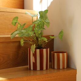 🍂 Vous n’avez pas encore tout vu… 

La suite de notre collection Automne est là ! 

Faites défiler, et découvrez de nouvelles inspirations 👆✨

👀 Alors, avez-vous déjà repéré vos coups de cœur ? 

#CollectionAutomne #Fleuriste #Decorateur #Fournisseur #Deco