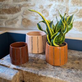 Et si on préparait déjà l’automne ? 🍂

Cette saison, on retrouve des teintes orangées, marron, écrues. 
Des couleurs chaleureuses et naturelles pour accompagner vos compositions.

Bienvenue dans notre nouvelle Collection Automne - Brun Caramel 🧡

#NouvelleCollection #Grossiste #Fleuriste #Decoration #Automne