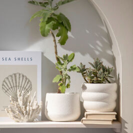 Showroom des Marques 2026 - Collection Automne/Hiver 🍂

Après avoir découvert nos univers Printemps/Été, place aux collections Automne/Hiver ✨

Le maître mot : douceur et élégance, pour vous inspirer dans vos projets à venir.

Comme pour Printemps/Été, ces produits seront à retrouver exclusivement lors de nos showrooms des marques, du 9 au 23 mars prochain à Lyon, Rungis et Toulouse.

L’occasion parfaite de précommander vos coups de cœur, échanger avec nos équipes et repartir avec de belles idées pour toute l’année ! 💚

📆 Il est encore temps de réserver votre créneau pour ne rien manquer (lien en bio) 😉
@horticash.plantes

A bientôt,
Victoire et Marius ✨

#ShowroomDesMarques #RenaudHorticash #Decorateur #FournisseurPro #Fleuriste