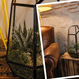 🍂🌿 Quand le végétal devient objet de décoration…

Pour l’automne 2026, notre atelier en Anjou a imaginé Les Serres de l’Atelier Création : 4 compositions végétales originales, pensées comme de petites scènes d’intérieur contemporaines. ✨

Des formes, des textures, du végétal… et surtout, beaucoup de savoir-faire pour créer des pièces à la fois tendances, raffinées et durables. 🪴

Une collection imaginée et réalisée localement, pour apporter une touche végétale singulière aux intérieurs.

👀 Les 4 modèles sont déjà disponibles en ligne et arrivent dès jeudi 27 août dans nos magasins d’Angers, Nantes et Rennes.

🌿 Une collection pensée et créée en Anjou, que vous pourrez retrouver chez les artisans fleuristes près de chez vous.

#Serres #Décoration #Automne #Inspiration #Végétal