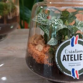 Alerte chez Horticash ! 🚨
‌
Du 2 au 7 février, on célèbre la Semaine de la Compo dans vos cashs plantes ! 🪴
Profitez de -5% de remise immédiate sur toutes les compositions de notre Atelier Création.
‌
C’est l’occasion idéale pour :
✨ Découvrir notre toute nouvelle Gamme Essentielle (26 nouveautés exclusives !).
✨ Renouveler votre offre avec des compositions artisanales et tendances.
✨ Faire des économies !
‌
📍 Rendez-vous dans vos magasins Horticash Angers, Nantes et Rennes pour faire le plein de végétal.