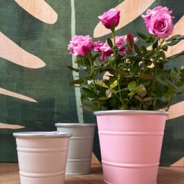 Equinoxe 🌱

Nouveau mois, nouvelle saison… et nouvelles inspirations ! 🌸

Du 1er au 30 avril 2026, on célèbre l'équinoxe !

Découvrez notre sélection spéciale printemps pour vous accompagner dans vos préparatifs de saison :

✨ Zinc
🏺 Céramique
📏 Tailles variées

Tout ce qu’il faut pour que vos plantes, petites ou grandes trouvent leur cache-pot idéal !

À découvrir dès maintenant dans nos magasins et sur le web (lien en bio) 

#Printemps #Fleuristes #Fournisseur #Ceramique #Zinc